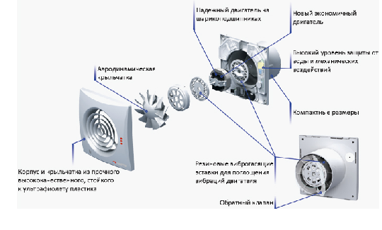 quite ����������